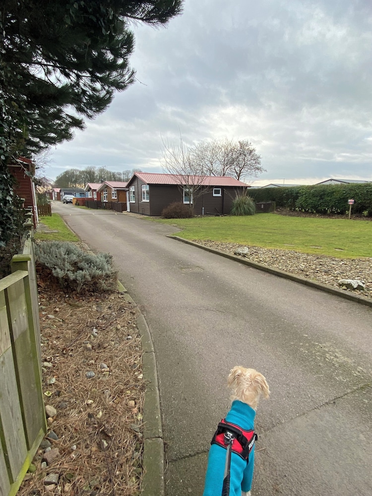 Large 3 bed Chalet -sleeps 6- dog Friendly- Garden