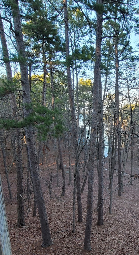 The Bear Den