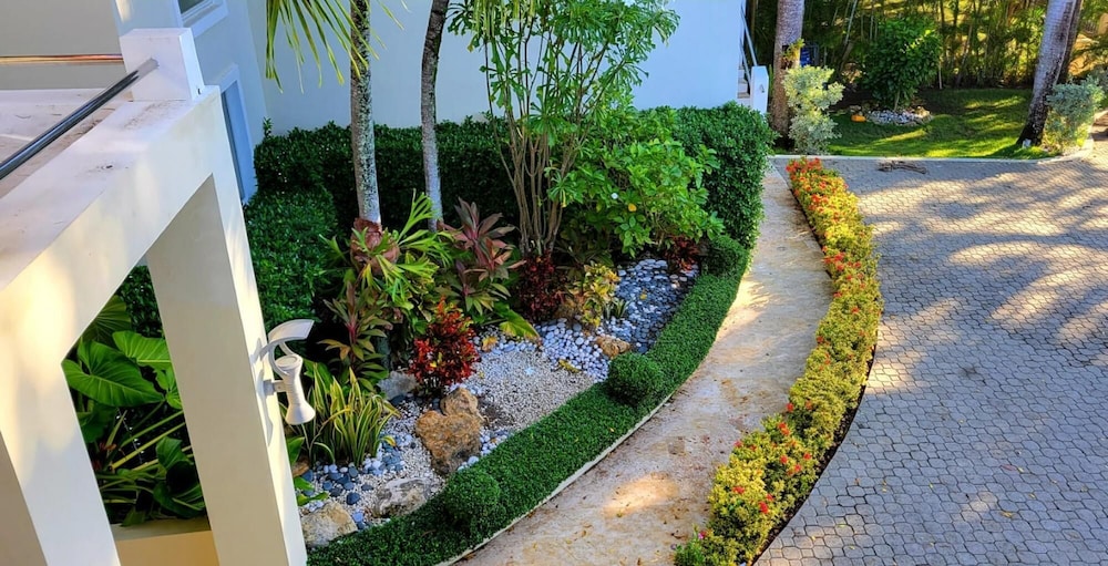 Photo 25
