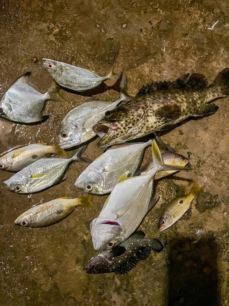 Crush River Villa Hikkaduwa