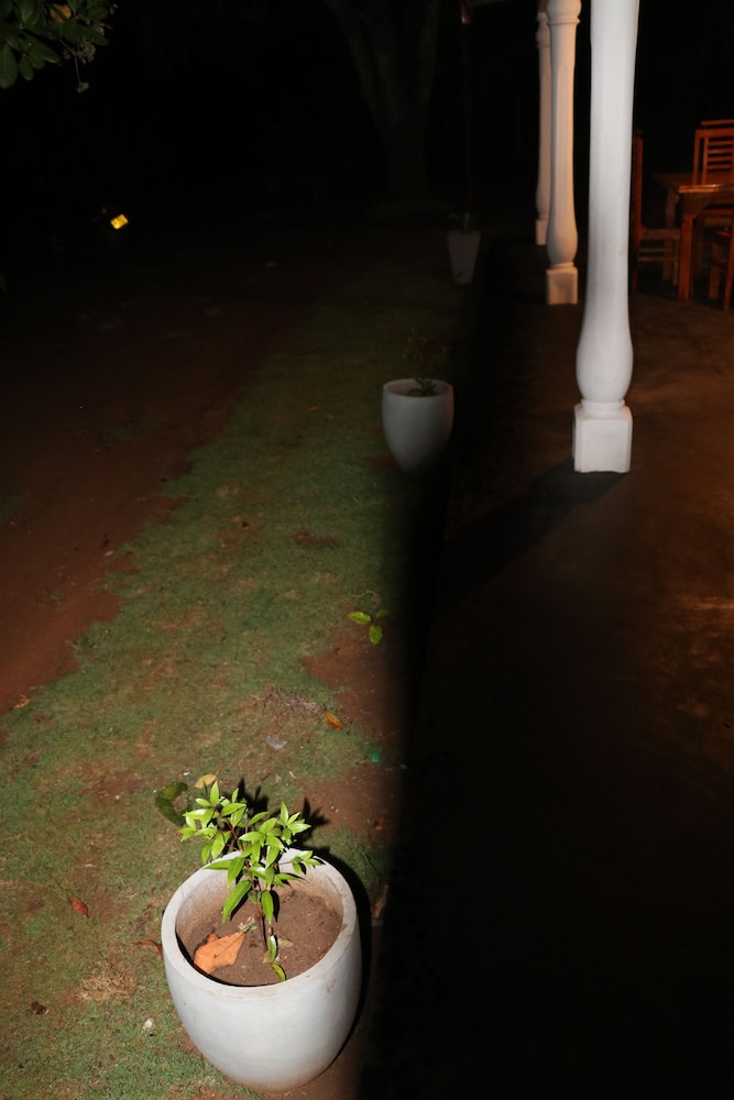 Photo 35
