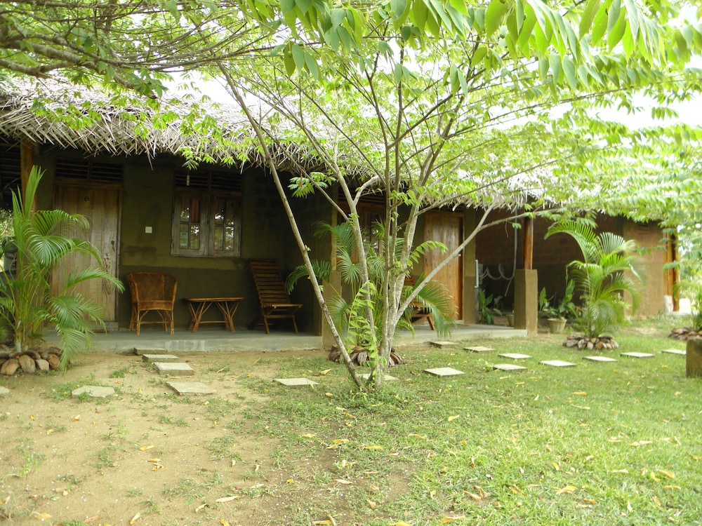 Photo 20