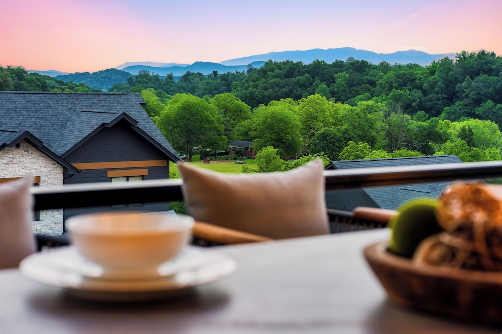 Cozy Cub Luxury Cabin Pigeon Forge
