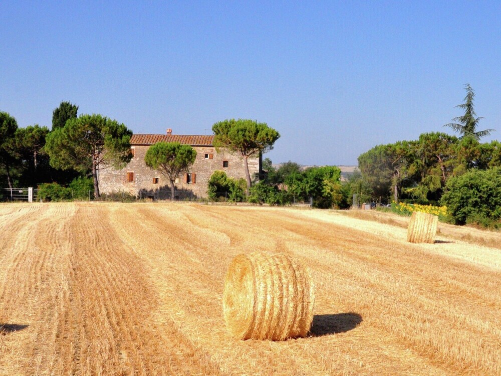 Nice Farmhouse in Asciano With Shared Pool view 5