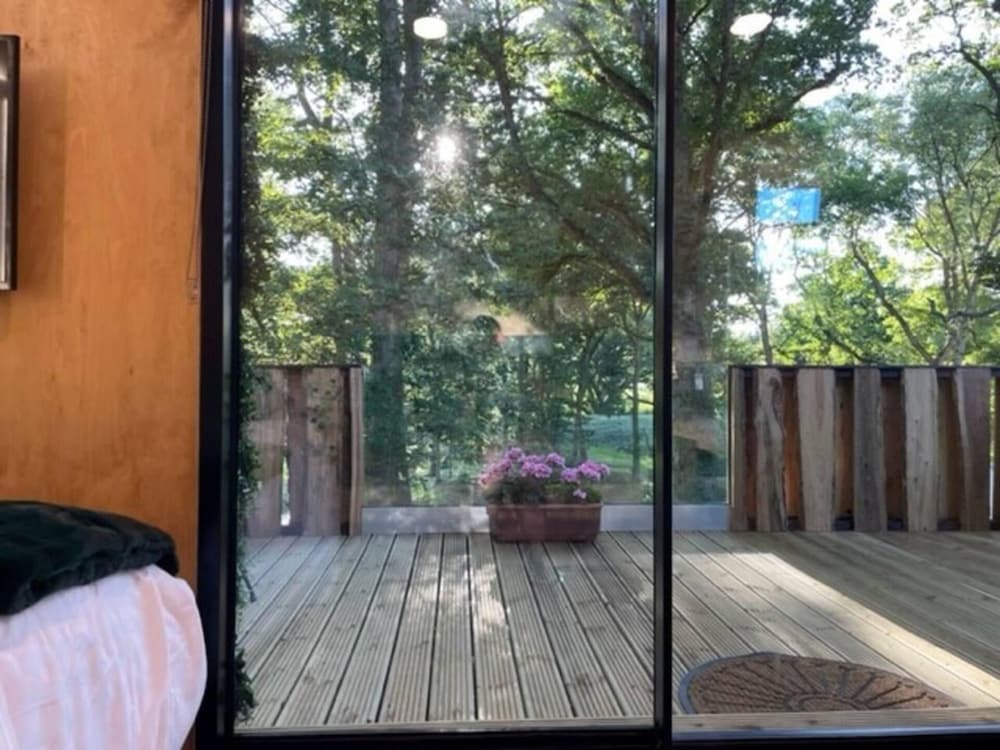 Luxury Cabin in the Woods view 5