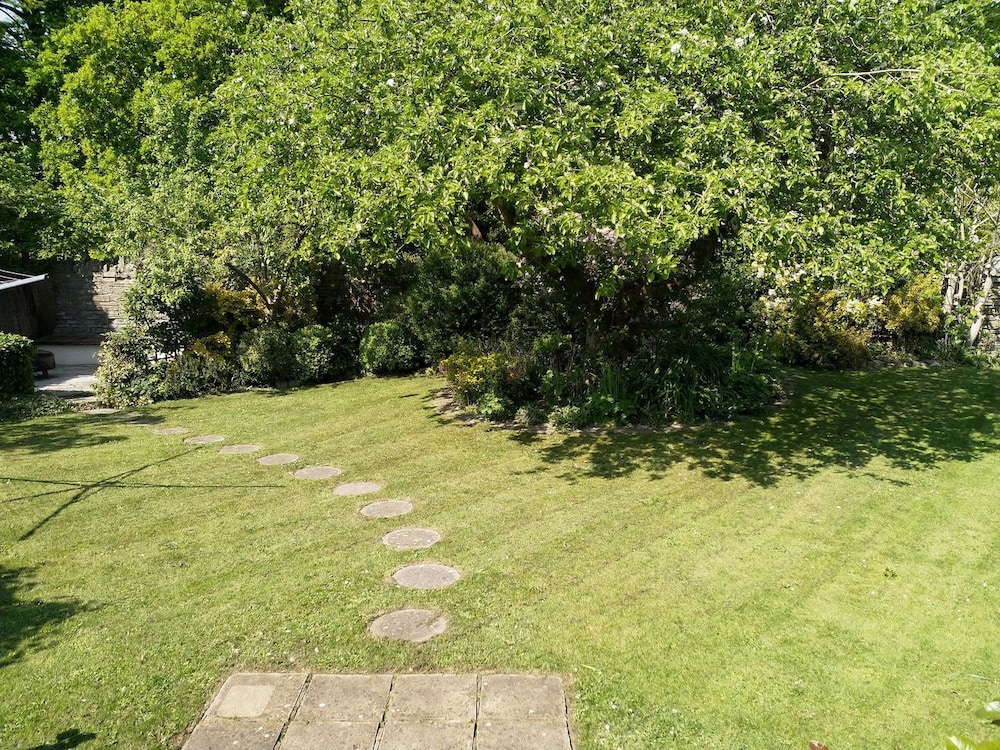 Tree of Life House, Number 27 Bere Lane