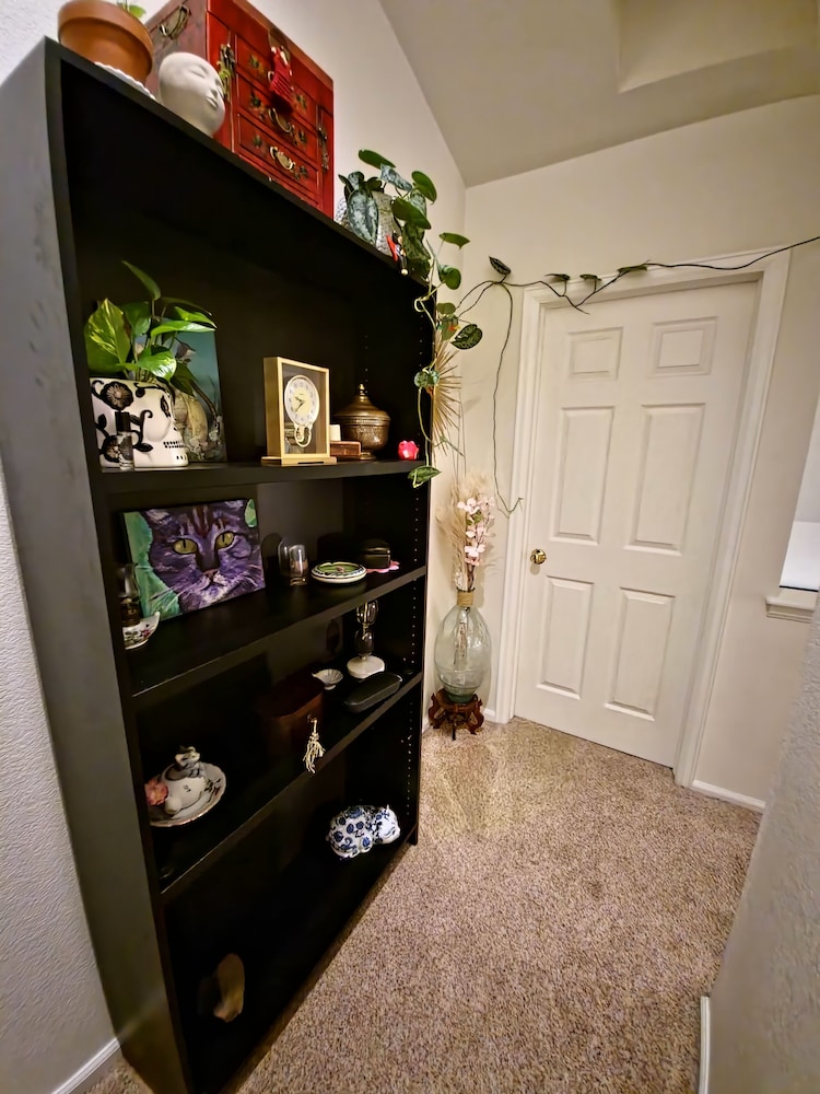 Casa de gato