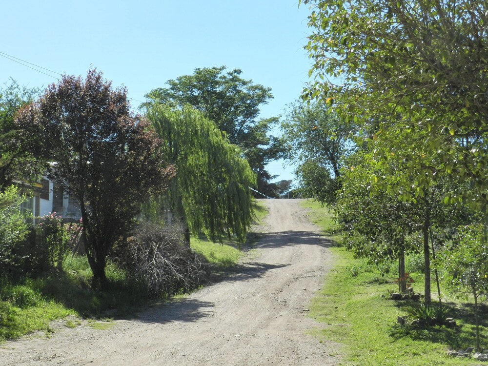 Agua de oro Housing - Image 5