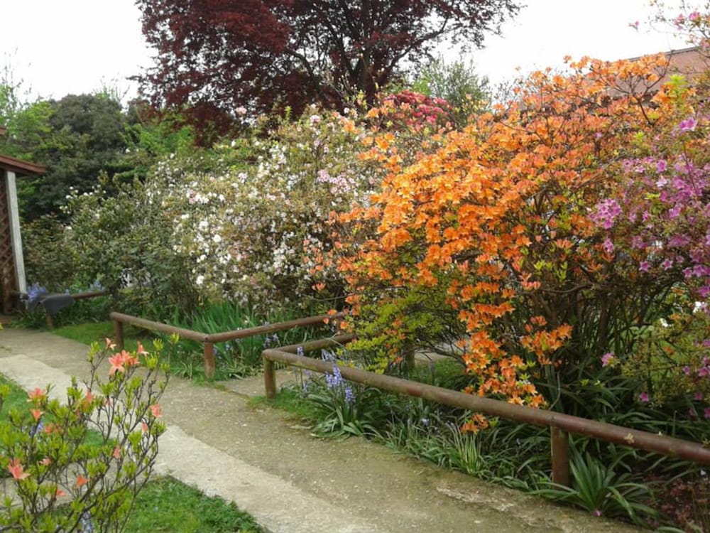 Cabañas El Jardin