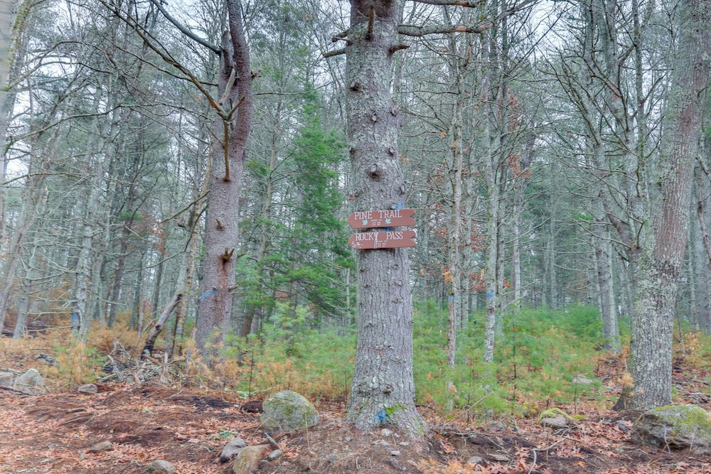 Secluded Family Home Near Hiking in Voluntown!