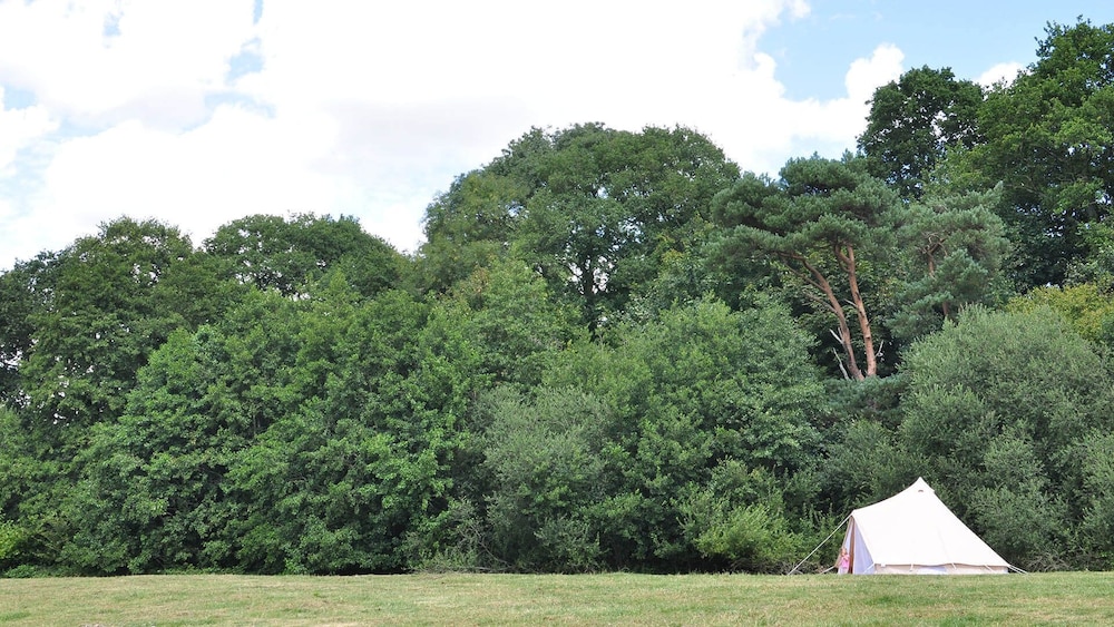 Immaculate and Cosy Bell Tent in Shaftesbury, UK view 5
