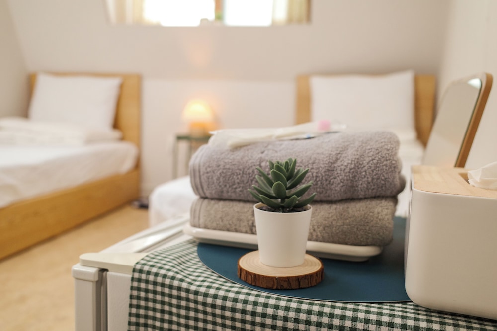 Starria Hostel foreign guest only 30