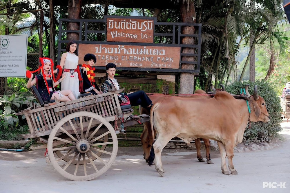 Tung Lakorn Farm
