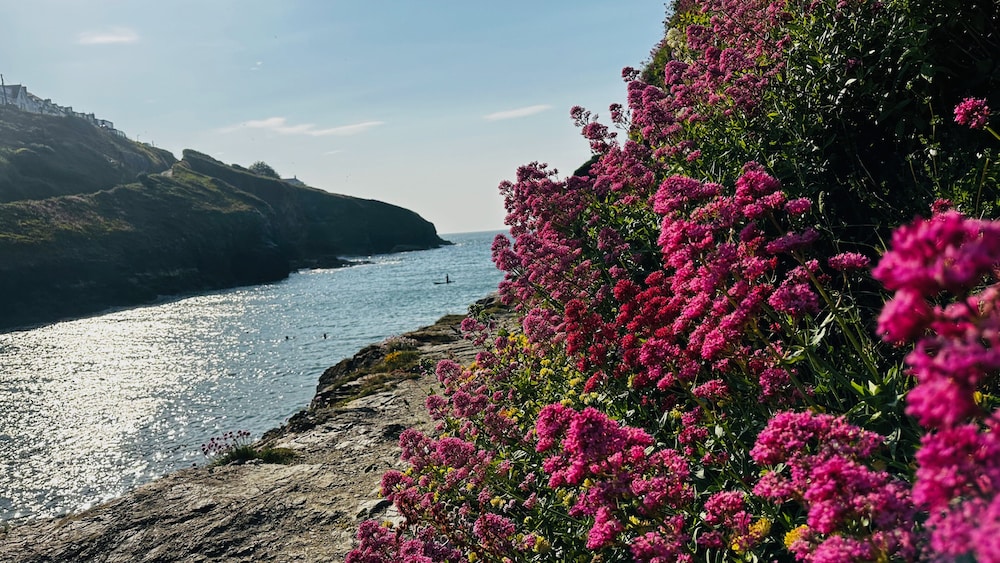 1 Tintagel
