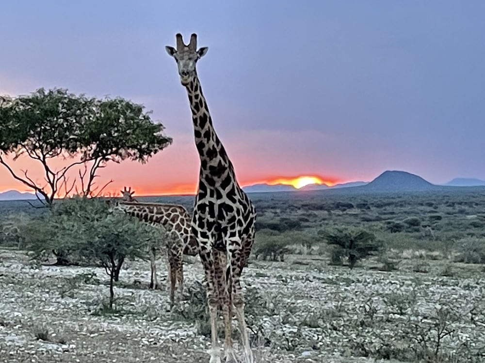 Aloegrove Safari Lodge