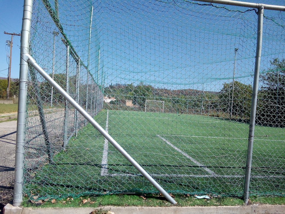 Photo 7