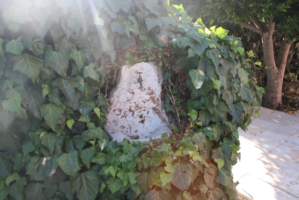 Bed&Breakfast Villa Mamma Grazia, photo 7