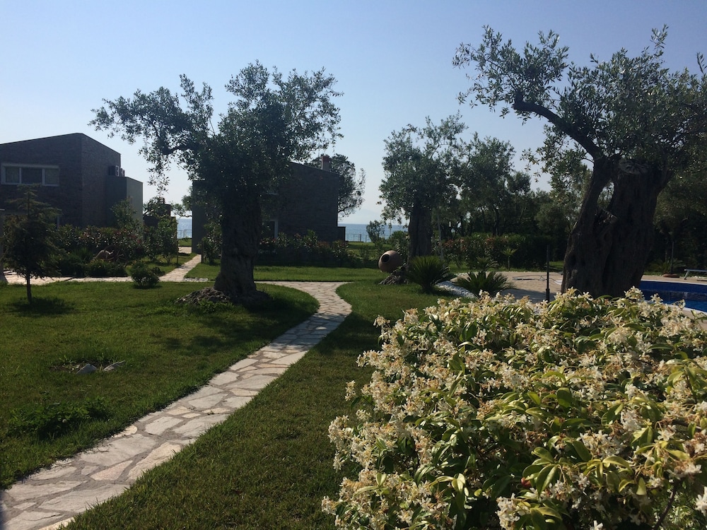 Photo 17