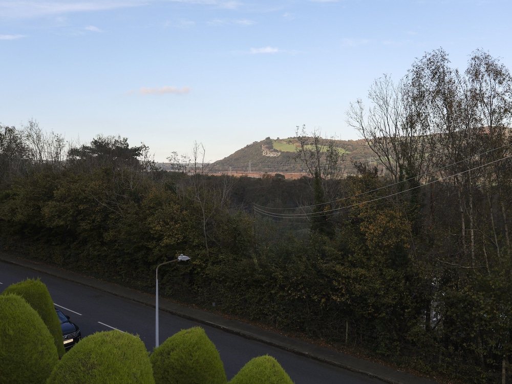 3 Trem Y Dolydd