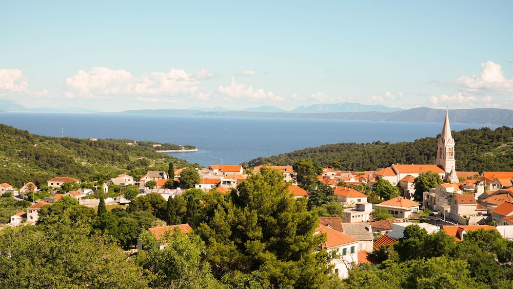 Studio Apartment Slivje view 5