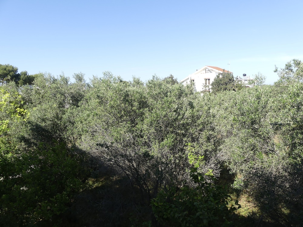 AMZ Apartments