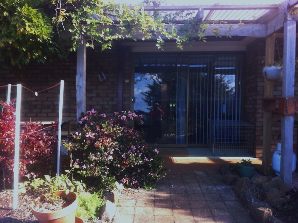 Blueberry B & B