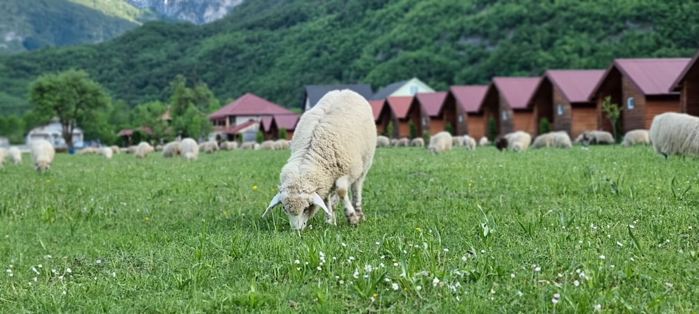 Eko Katun ROSI - oldTower photo 4