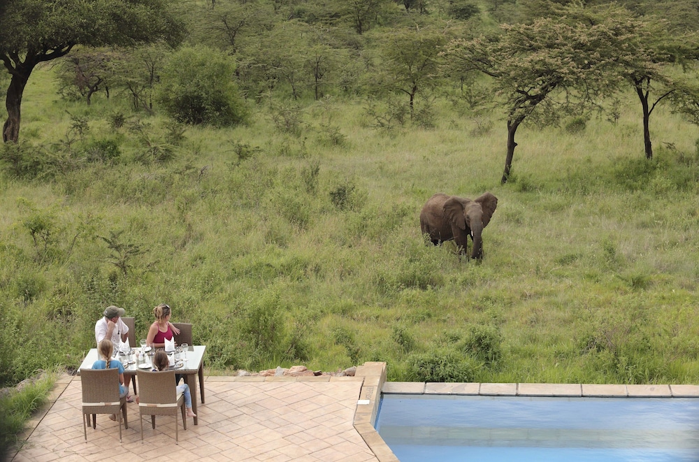 Spirit Of The Masai Mara