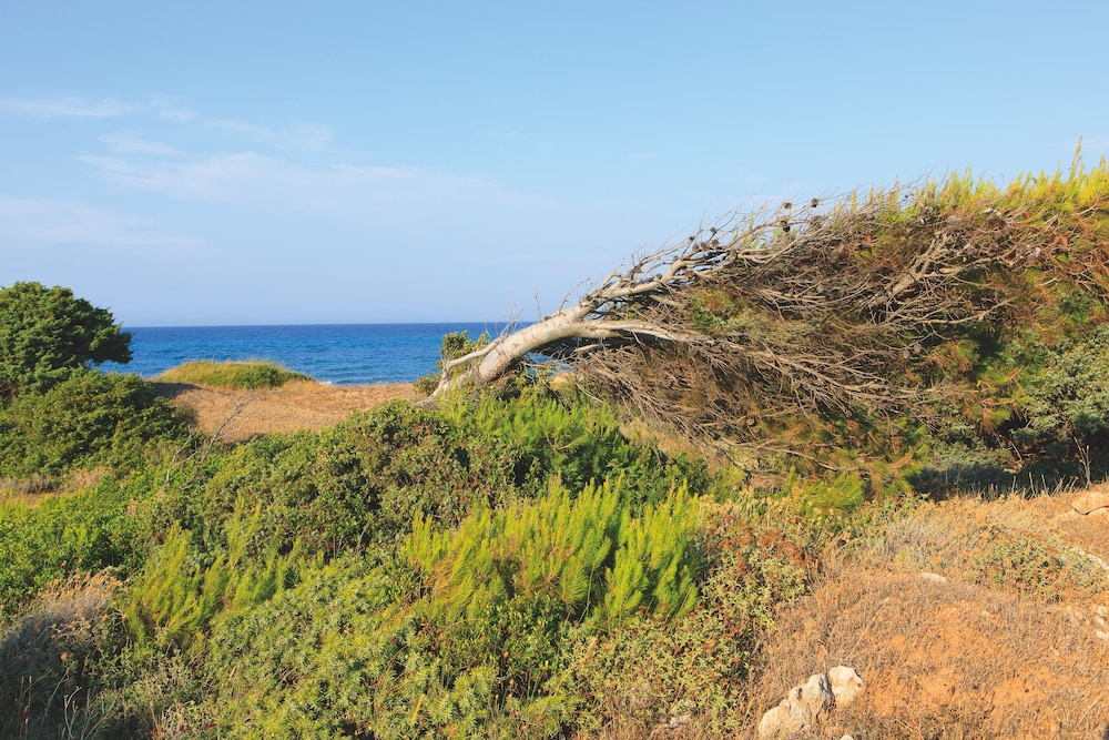 Meditur Puglia by Itafirst Hotels