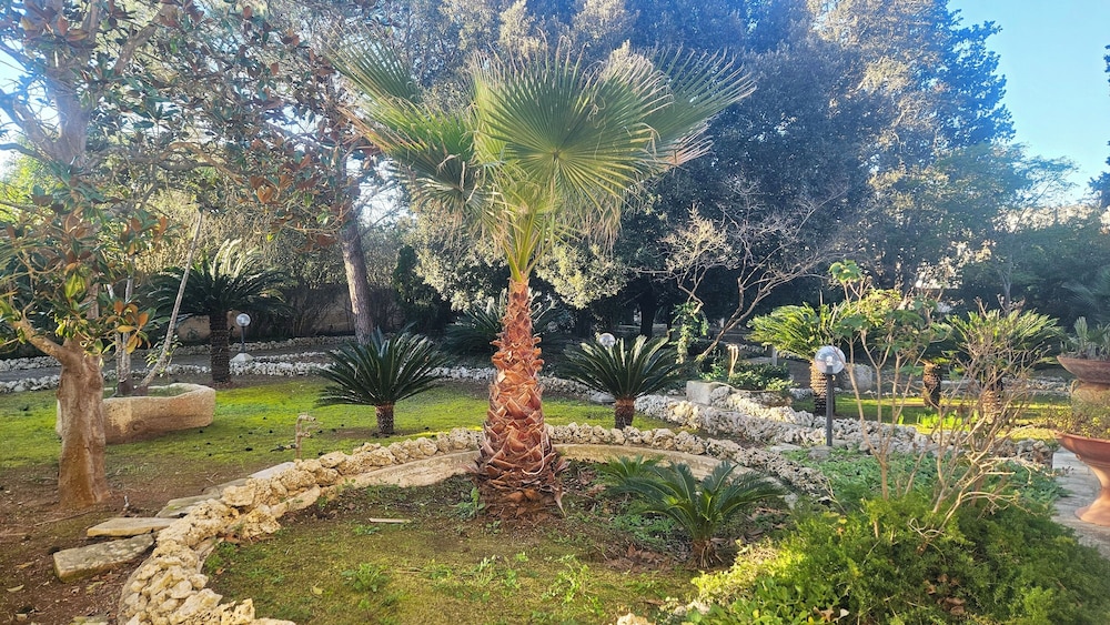 La Pineta