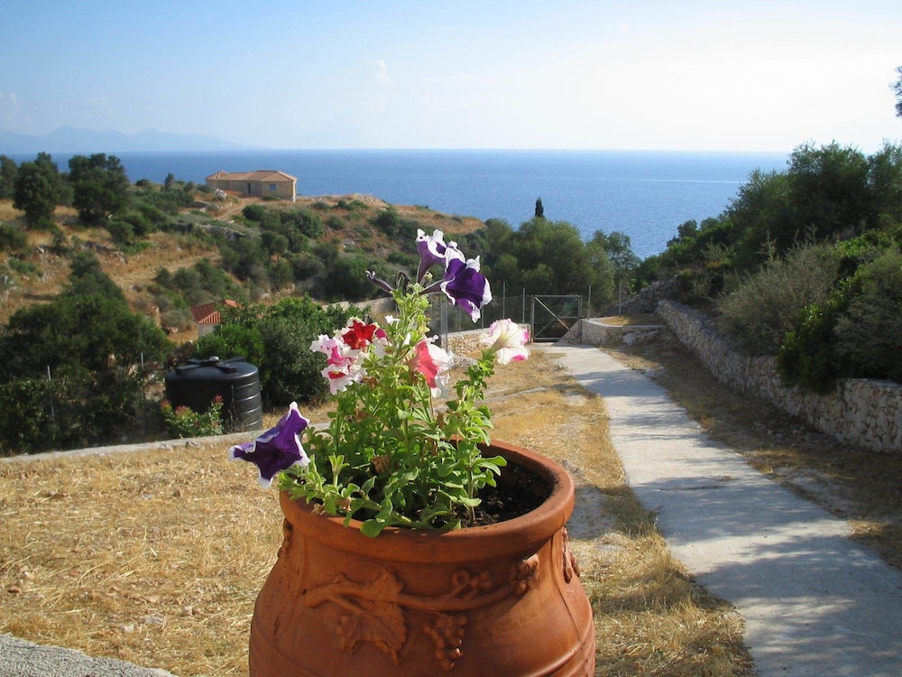 Mikro Nisi Studios
