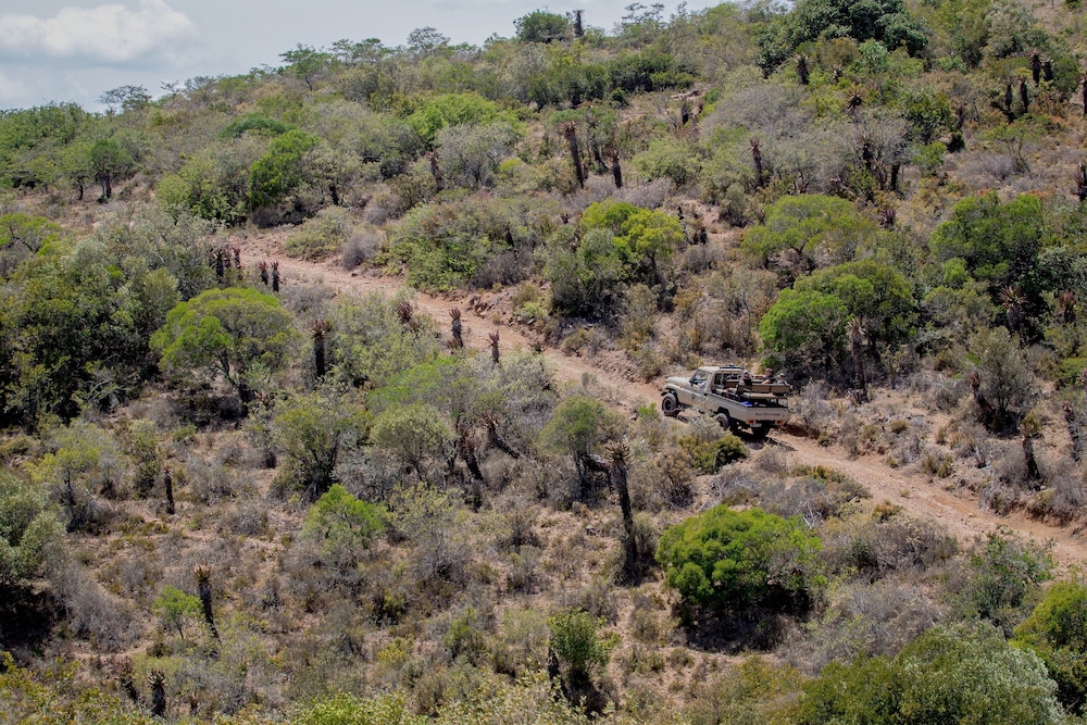 African Safari Lodge