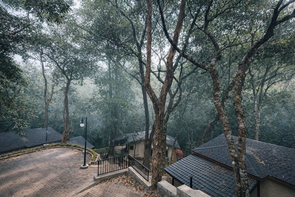Nirjhara Coorg