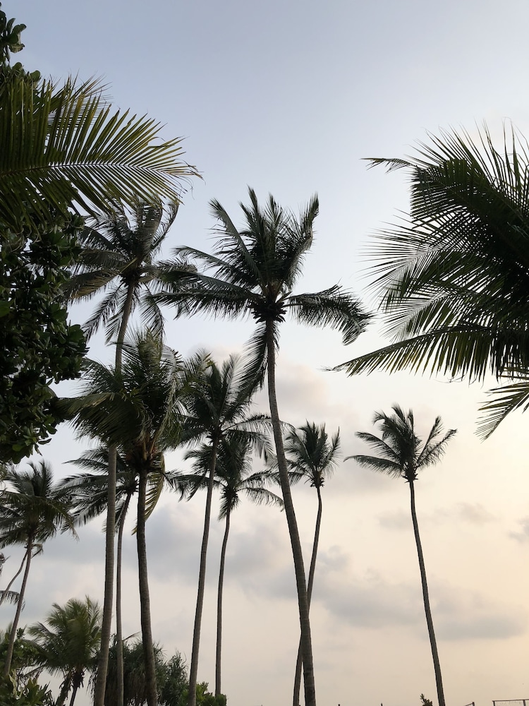 Shalimar Beach Resort