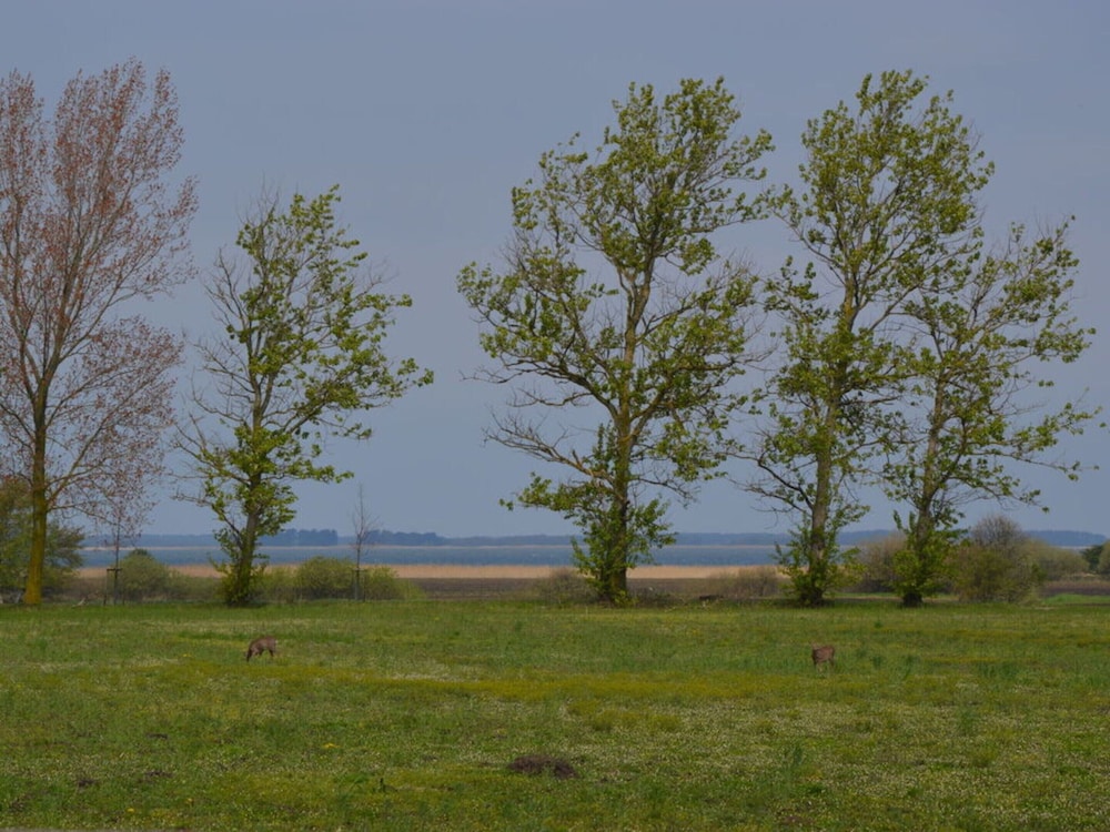 Holiday Home Darsskieker