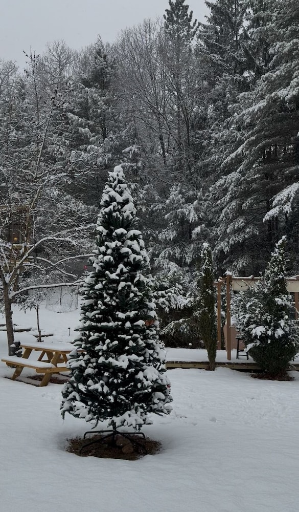 Forava Cabins - Tiny Cabin in the Woods