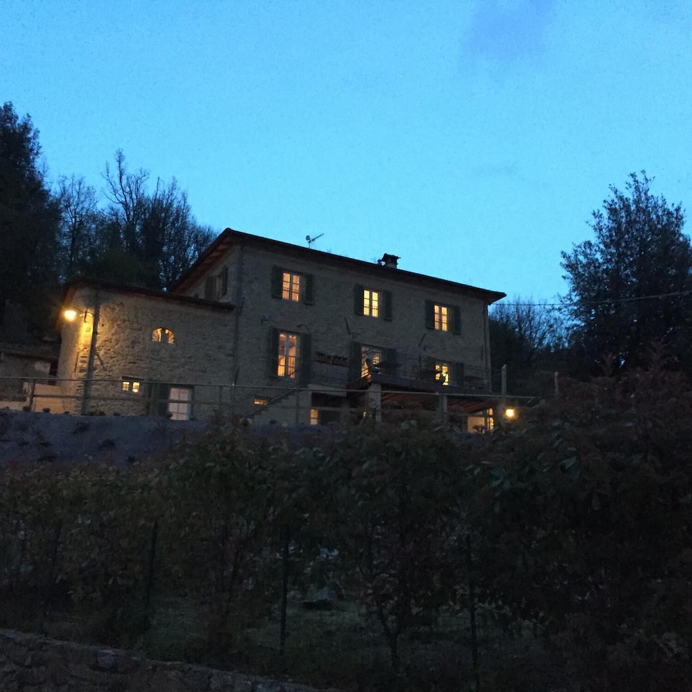 Photo 42