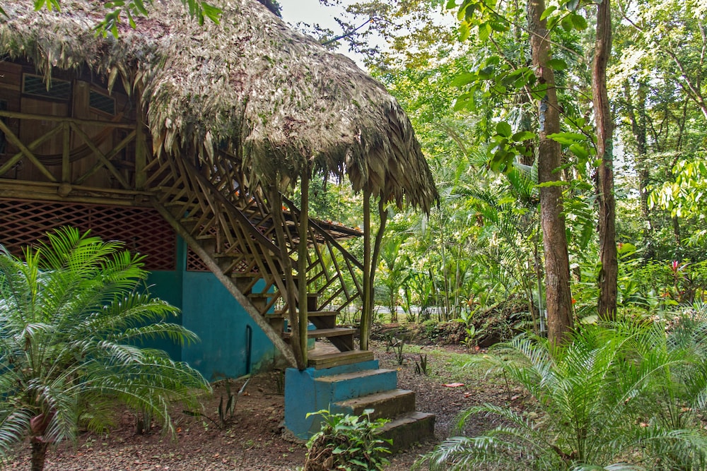 Se Ua Manzanillo