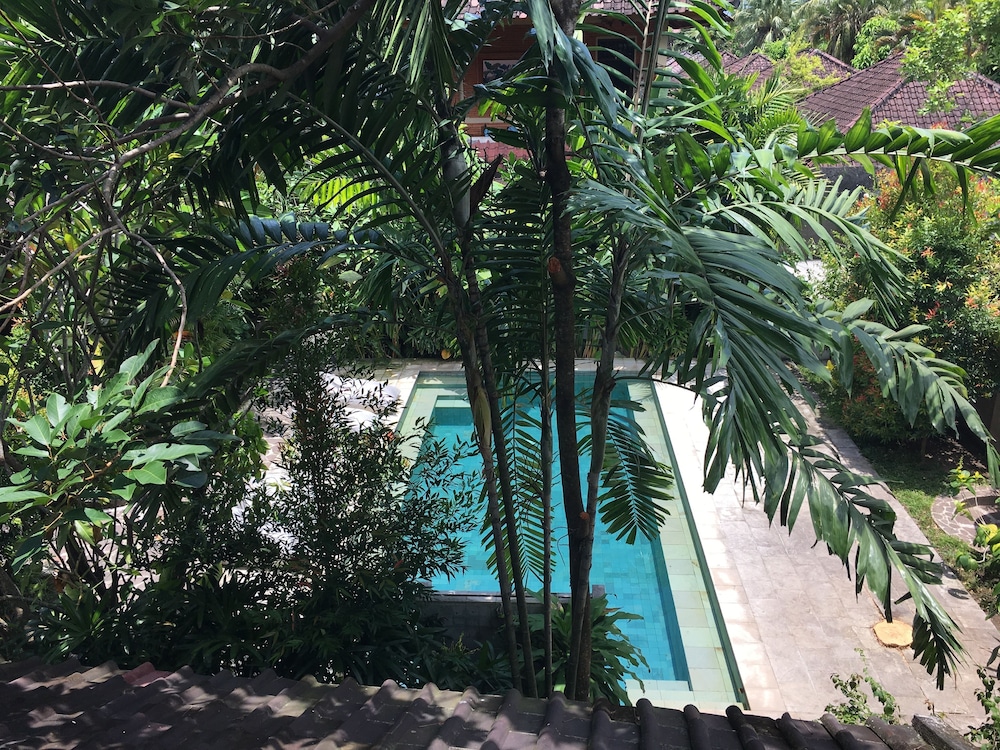 Cafe Wayan Cottages