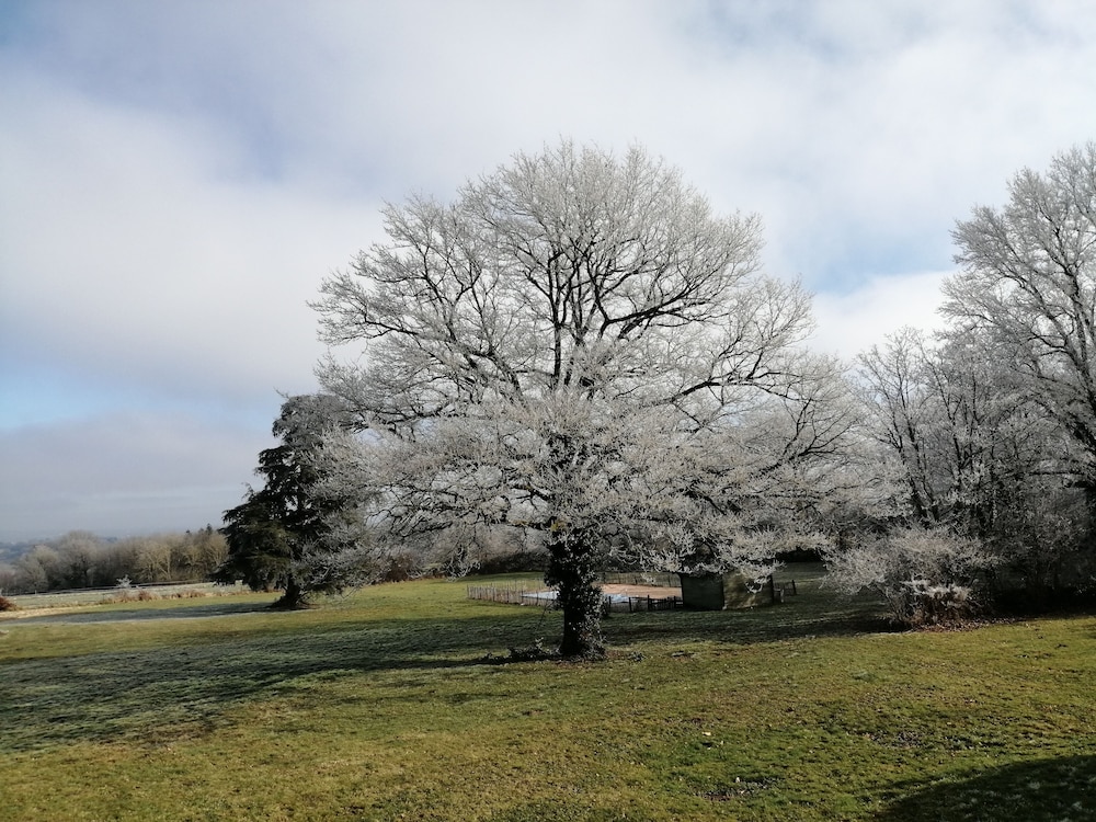 Photo 43