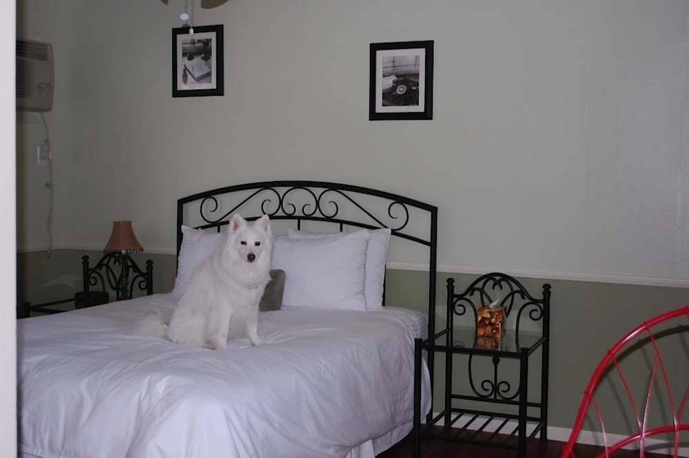 Bishop Vacations - El Rancho Motel - Property Image 38