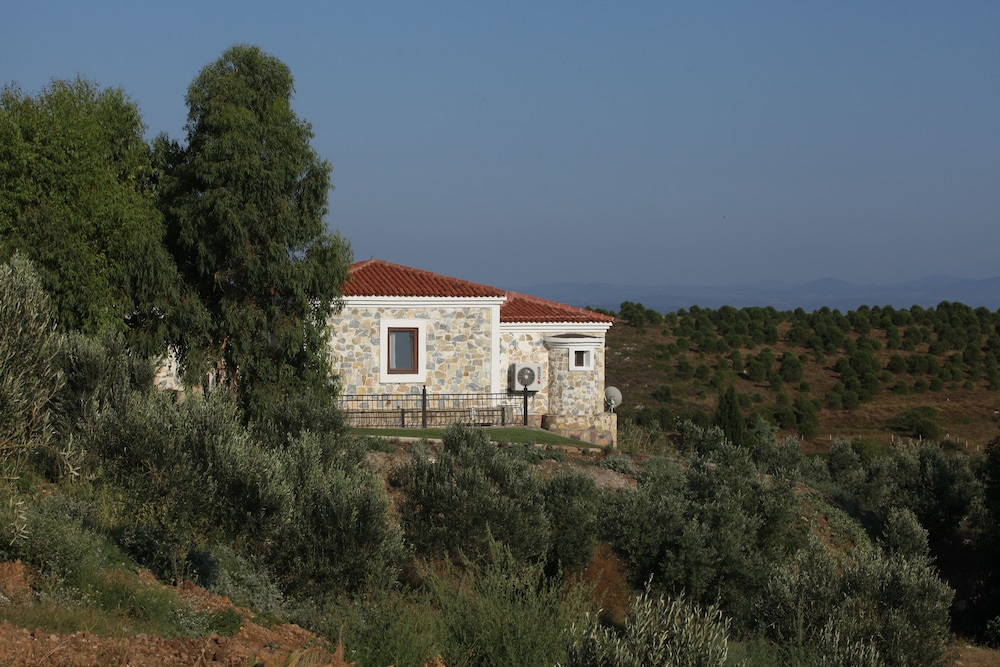 Mavi Karga