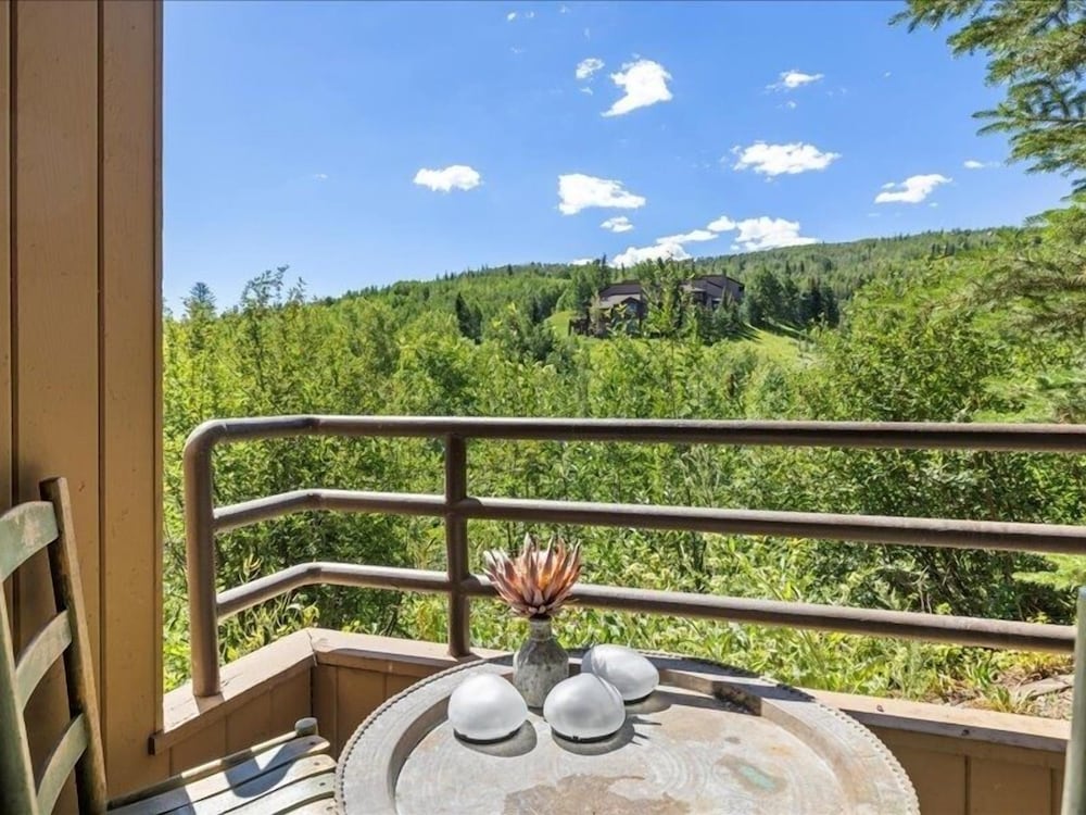 Remodeled Snowmass Pet-Friendly Modern 1BR Condo - G125