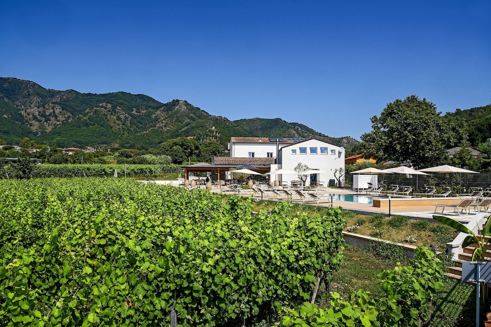 Agriturismo Guerritore
