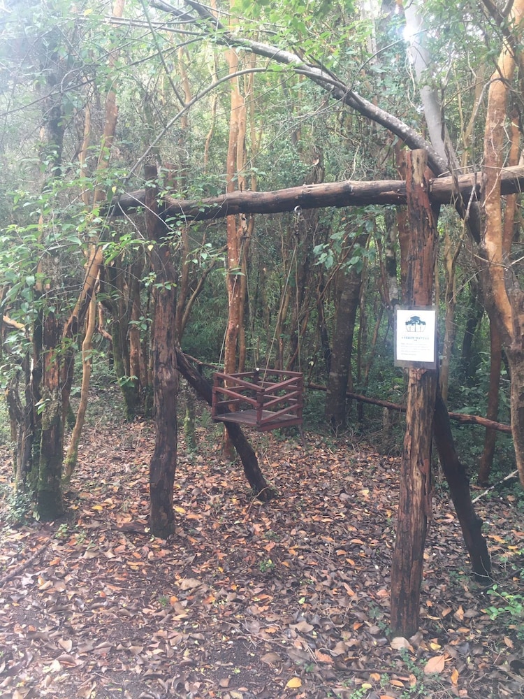 Cabañas Ensenada Bosque Nativo