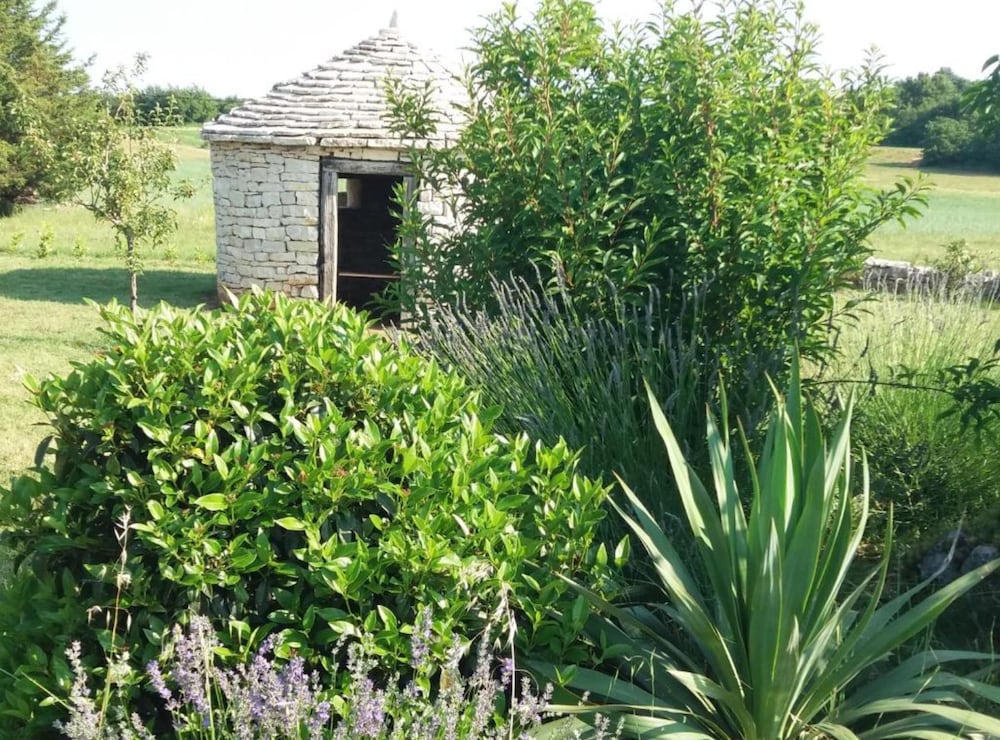 Authentic Istrian Holiday Home for Unforgettable Stays