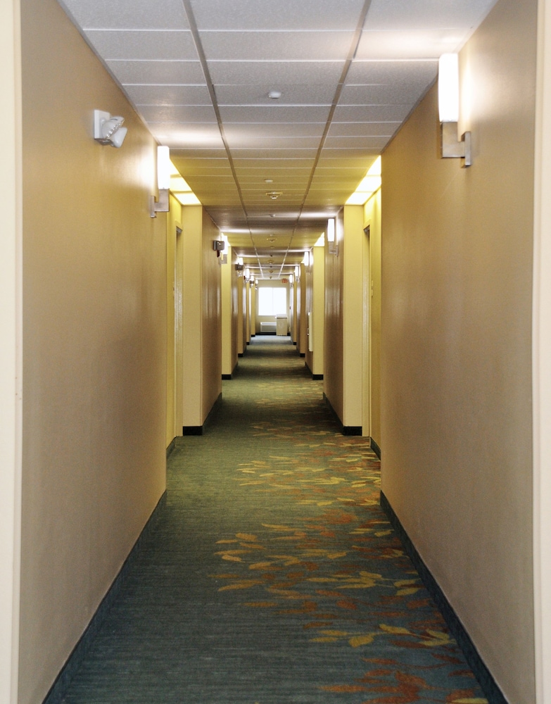 Photo 50