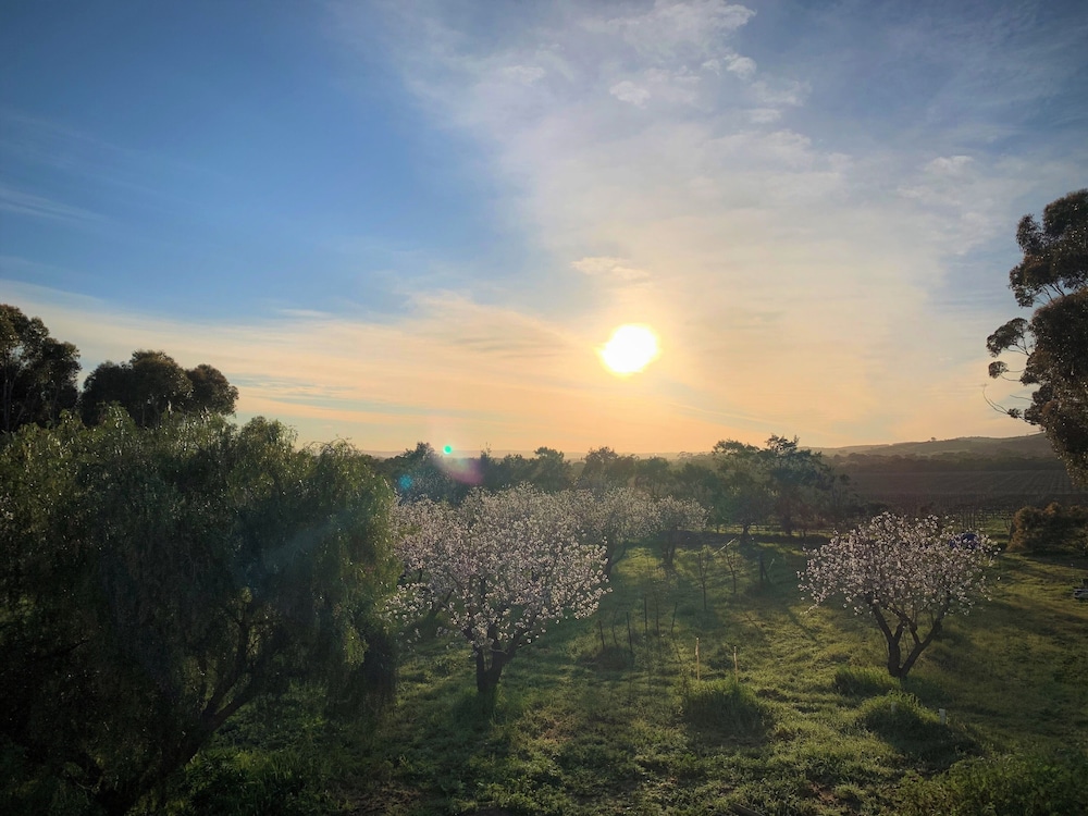 Old Chaff Mill Retreat - - luxury vineyard accommodation