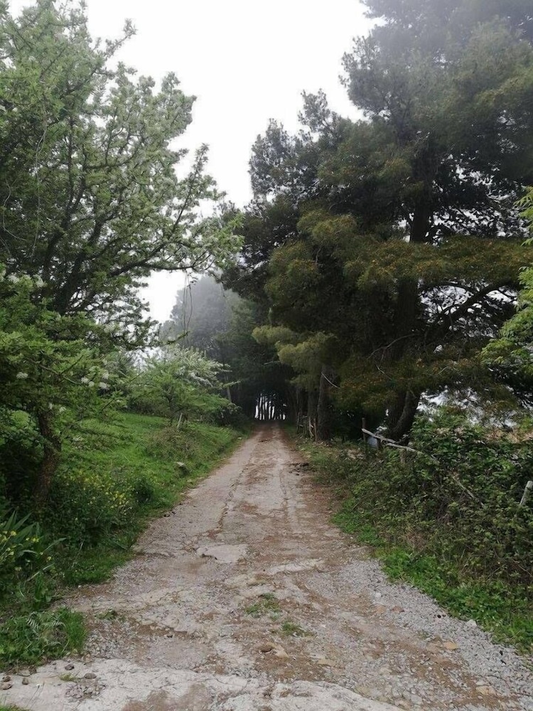 Agriturismo Bosco Pianetti