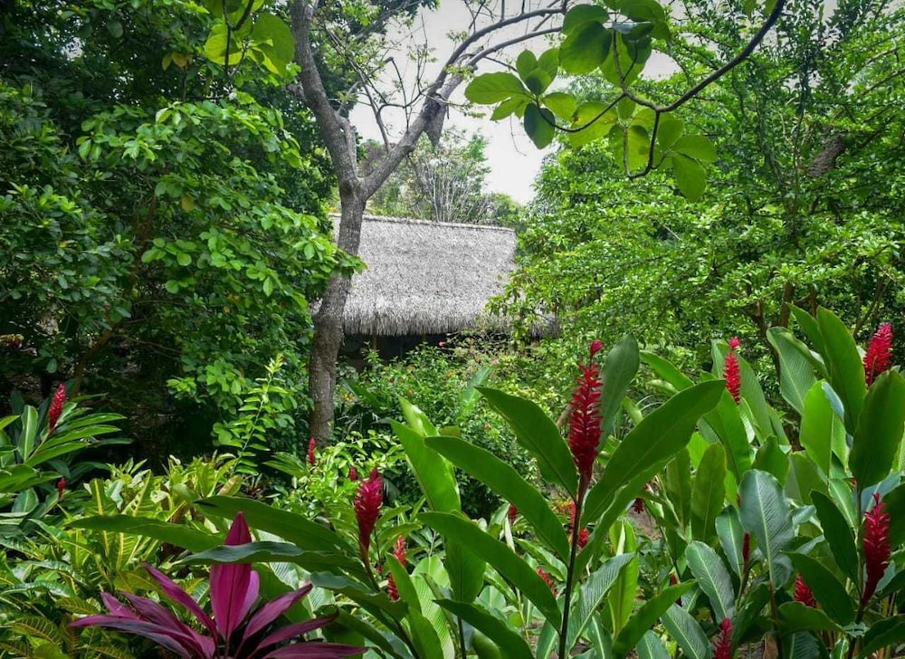 Ecohabs Bosques del Tayrona